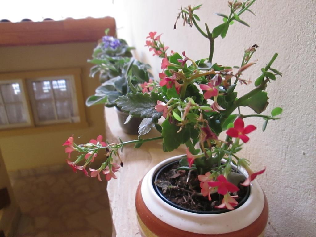 טיראדנטס Pousada As Reliquias De Minas מראה חיצוני תמונה